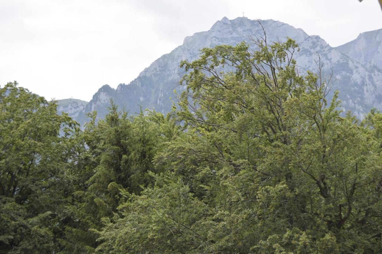Pensiunea Clasic Buşteni Exterior foto